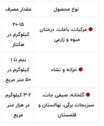 معجزه گر ایکس گرین